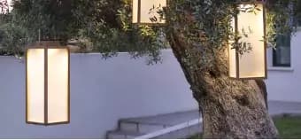 authenteak image