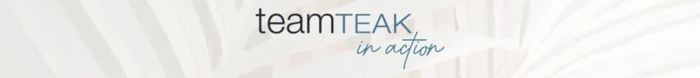 TeamTeak in Action Logo